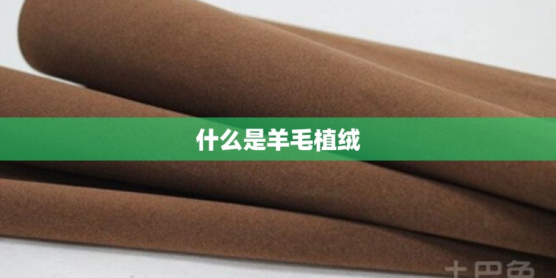 什么是羊毛植绒