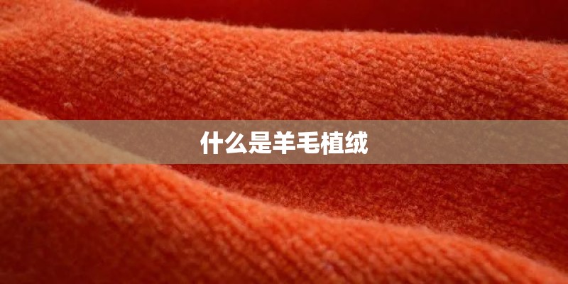 什么是羊毛植绒