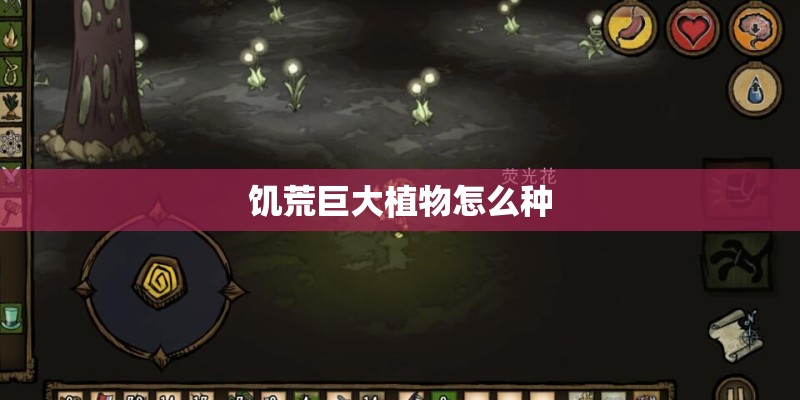 饥荒巨大植物怎么种