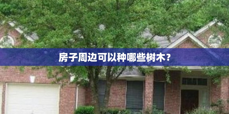 房子周边可以种哪些树木？