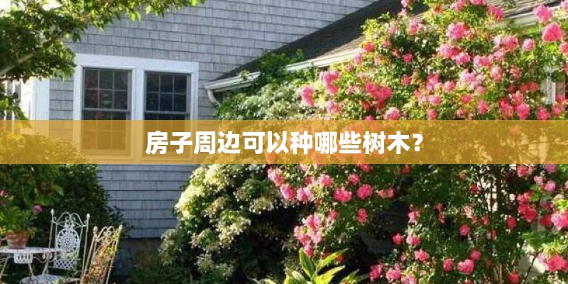 房子周边可以种哪些树木？
