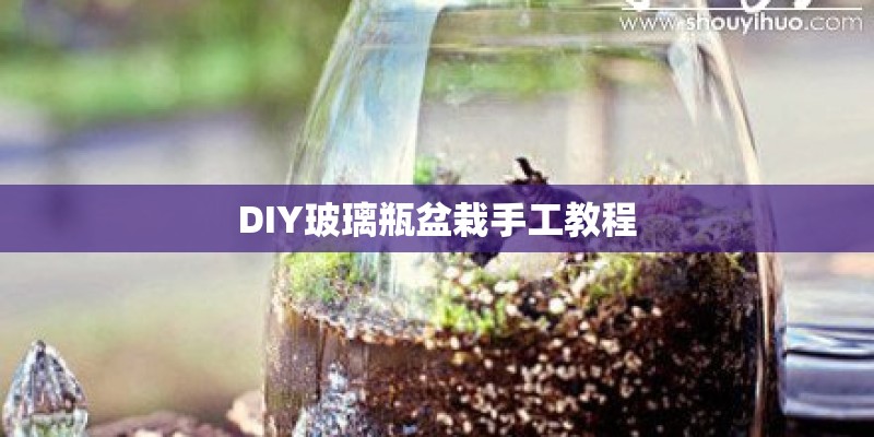 DIY玻璃瓶盆栽手工教程