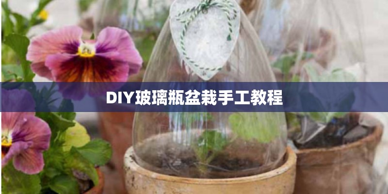 DIY玻璃瓶盆栽手工教程