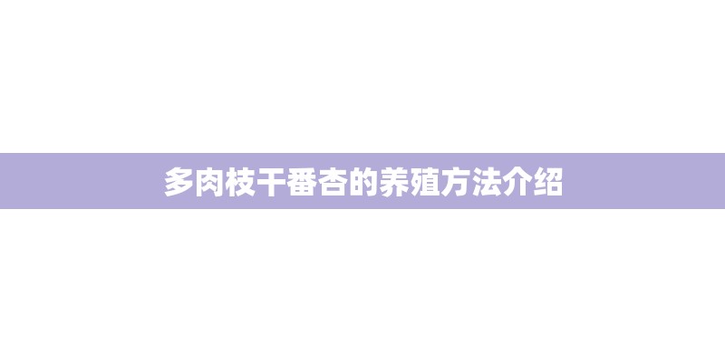 多肉枝干番杏的养殖方法介绍
