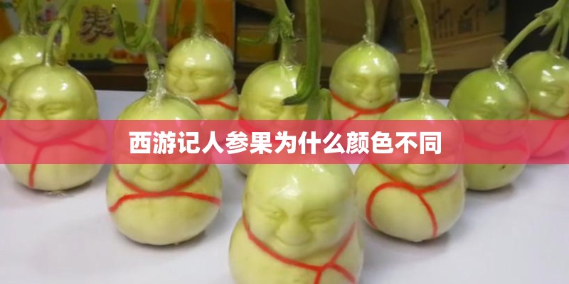 西游记人参果为什么颜色不同