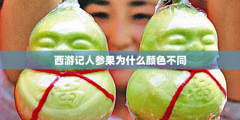 西游记人参果为什么颜色不同