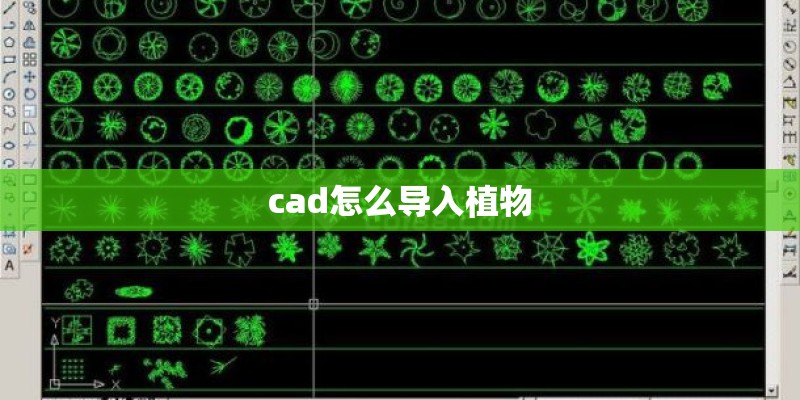 cad怎么导入植物