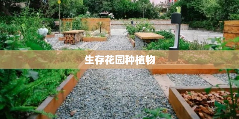 生存花园种植物