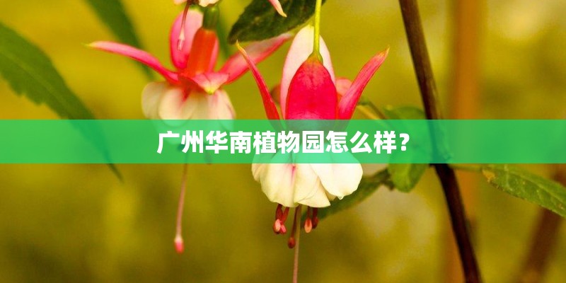 广州华南植物园怎么样？