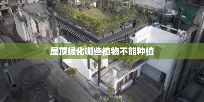 屋顶绿化哪些植物不能种植
