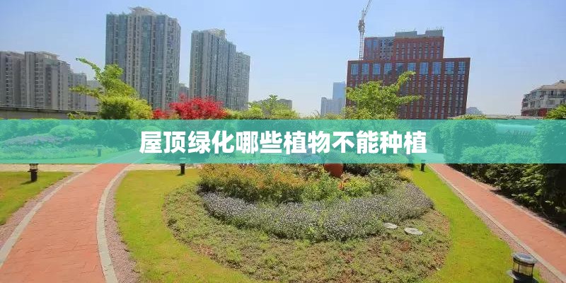 屋顶绿化哪些植物不能种植