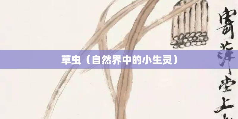 草虫（自然界中的小生灵）
