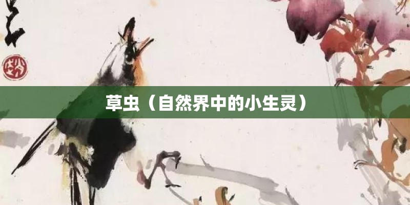 草虫（自然界中的小生灵）