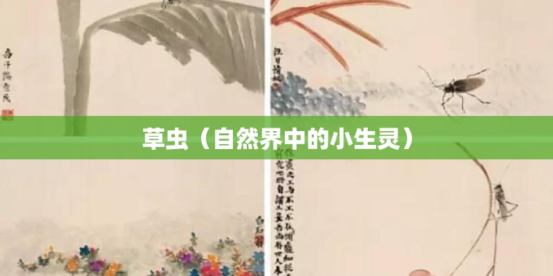 草虫（自然界中的小生灵）
