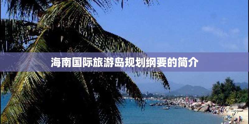 海南国际旅游岛规划纲要的简介