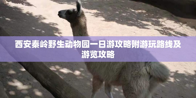 西安秦岭野生动物园一日游攻略附游玩路线及游览攻略