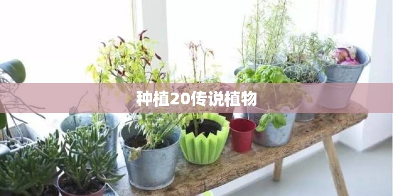种植20传说植物
