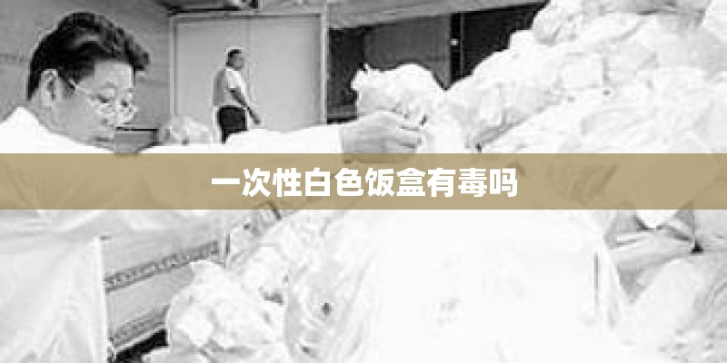一次性白色饭盒有毒吗