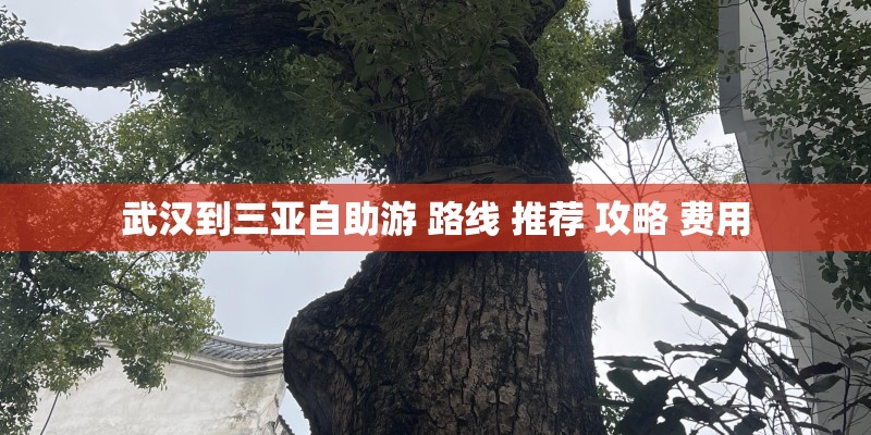 武汉到三亚自助游 路线 推荐 攻略 费用