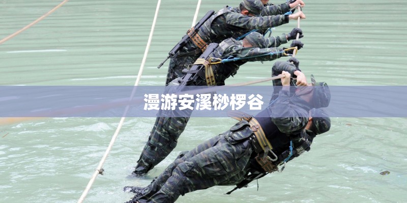 漫游安溪桫椤谷