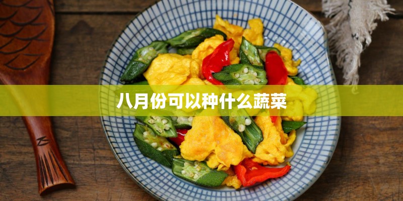 八月份可以种什么蔬菜