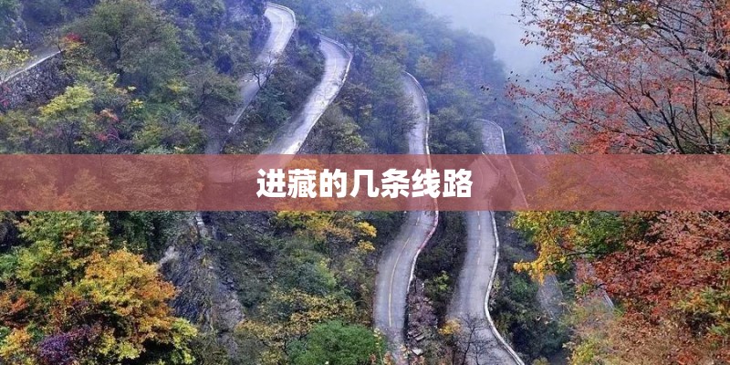 进藏的几条线路
