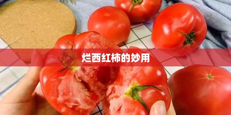 烂西红柿的妙用