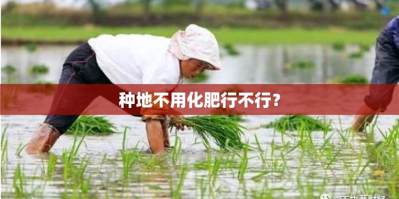 种地不用化肥行不行？