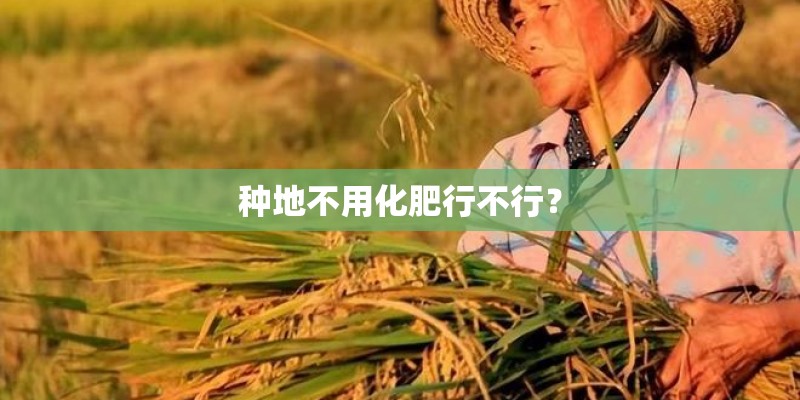 种地不用化肥行不行？