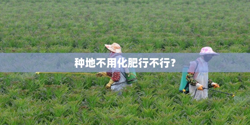 种地不用化肥行不行？