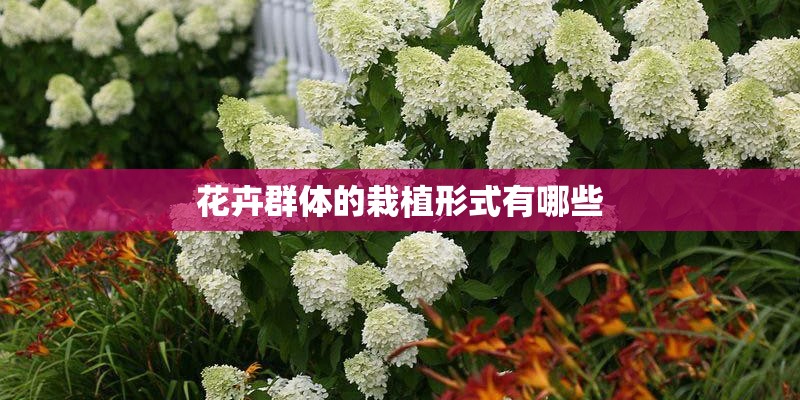 花卉群体的栽植形式有哪些