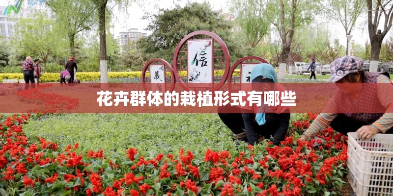 花卉群体的栽植形式有哪些